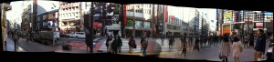 Tokyo Panorama